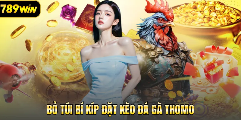 Bỏ túi bí kíp đặt kèo đá gà Thomo