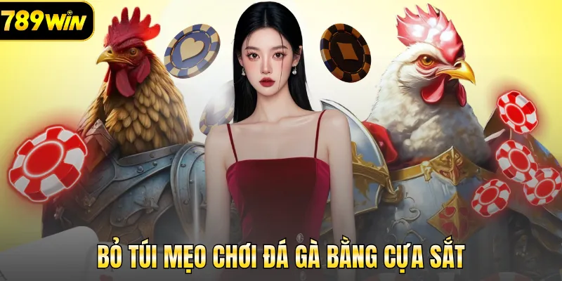 Bỏ túi mẹo chơi đá gà bằng cựa sắt