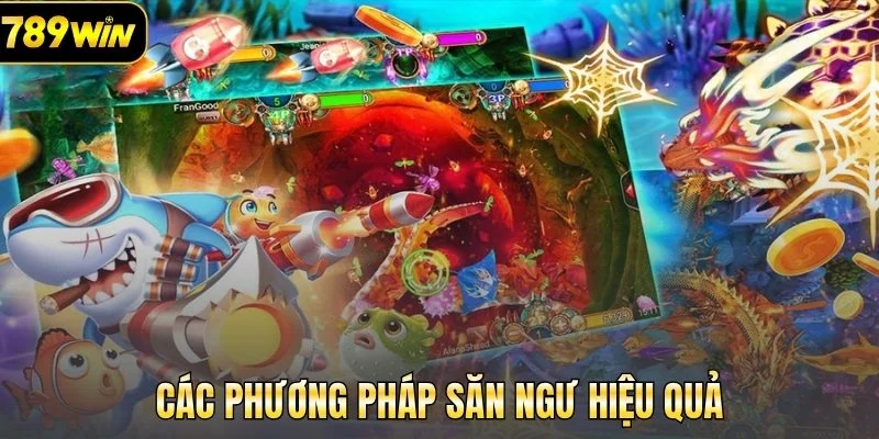Các phương pháp săn ngư hiệu quả