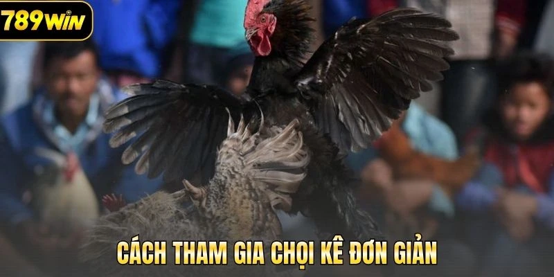 Cách tham gia đặt cược cực kỳ đơn giản