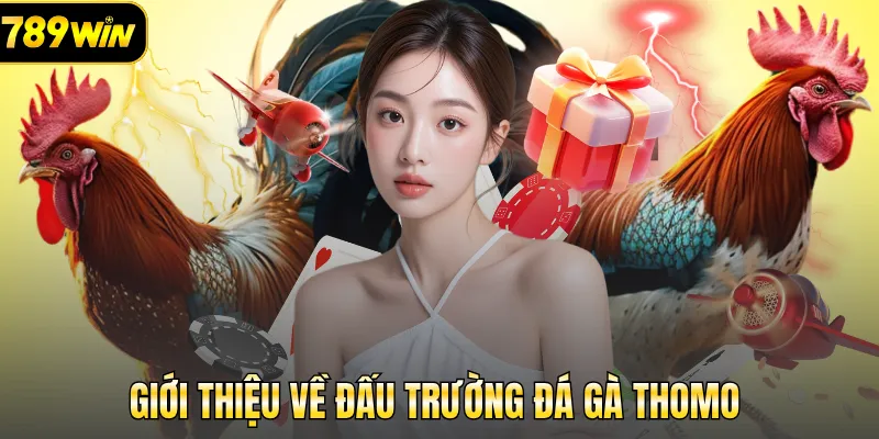 Giới thiệu về đấu trường đá gà Thomo 