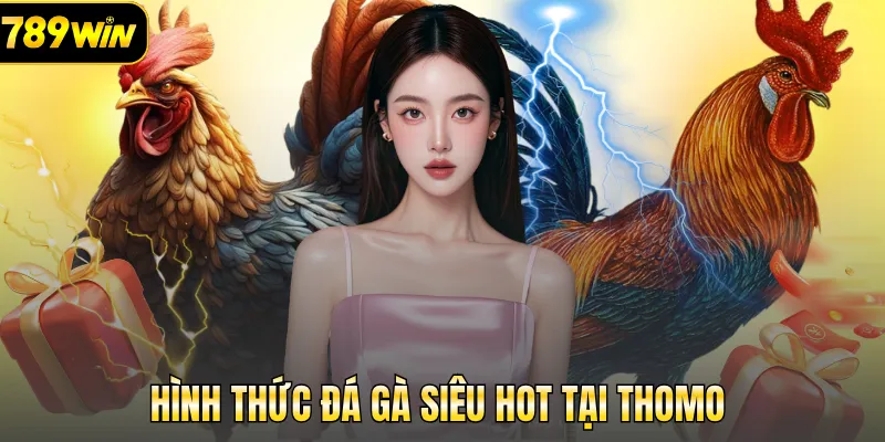 Hình thức đá gà siêu HOT tại Thomo 