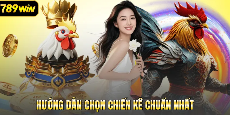 Hướng dẫn chọn chiến kê chuẩn nhất