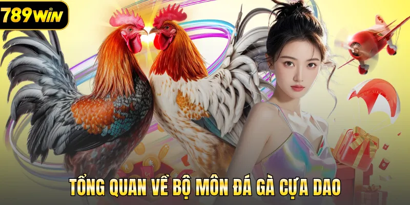 Tổng quan về bộ môn đá gà cựa dao