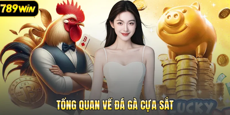 Tổng quan về đá gà cựa sắt