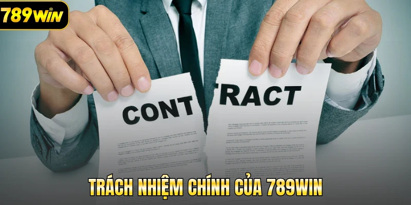 Trách nhiệm chính của 789Win